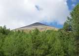 ����� �����
